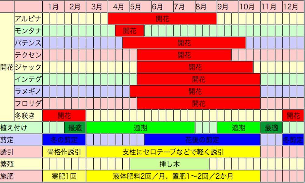 クレマチスの栽培カレンダー