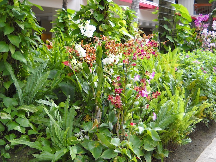 裏庭ガーデン0608