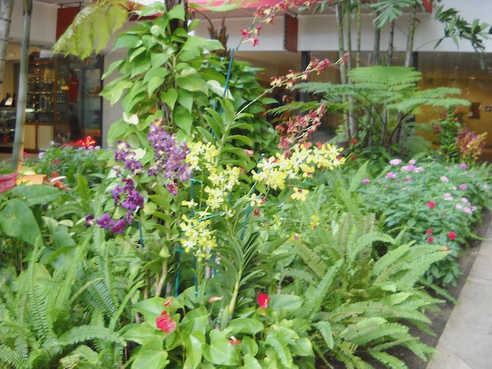 裏庭ガーデン0608