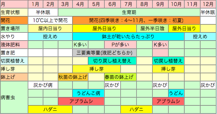 木立ベゴニアの栽培カレンダー