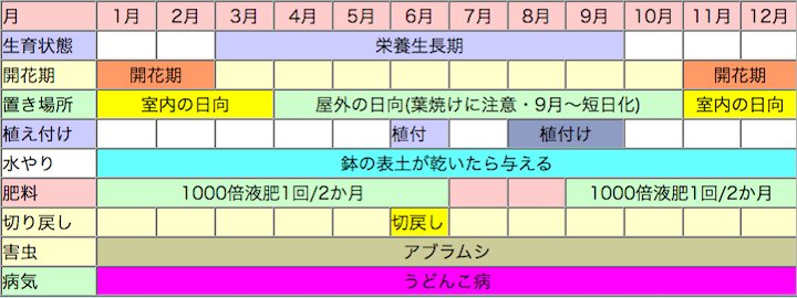 カランコエの栽培カレンダー