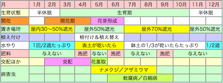 クンシラン(君子蘭)の栽培カレンダー