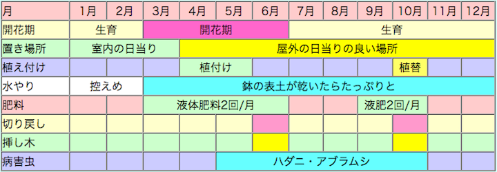 オステオスペルマム栽培カレンダー