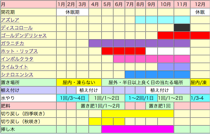 サルビアの栽培カレンダー