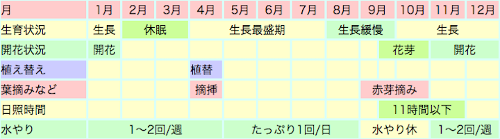 シャコバサボテンの栽培カレンダー