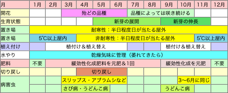 ユーフォルビアの栽培カレンダー