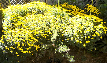 2023年管理人の11月の様子