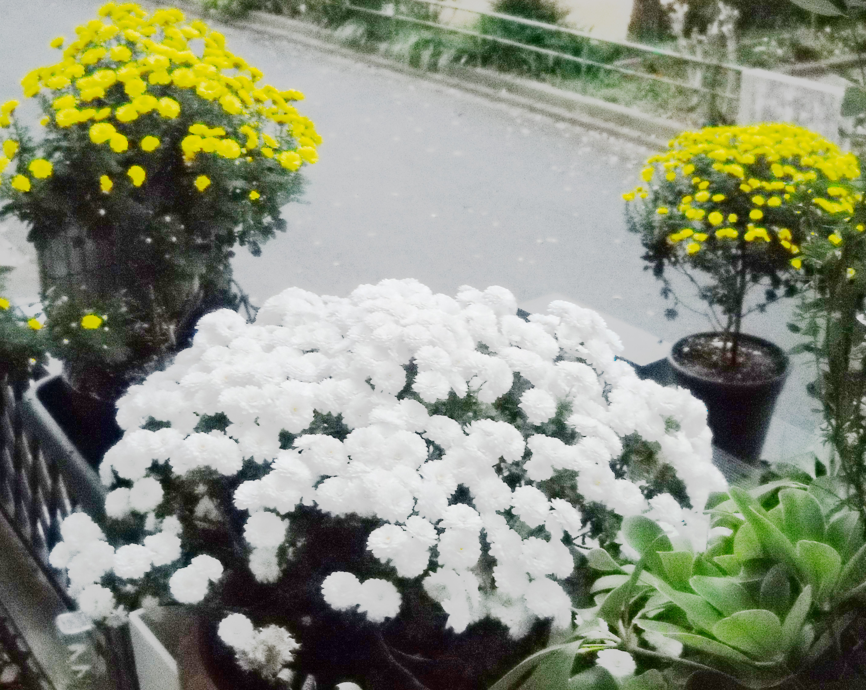 2023年管理人の11月の様子