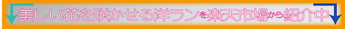 店頭で探せない草花を楽天市場から紹介中