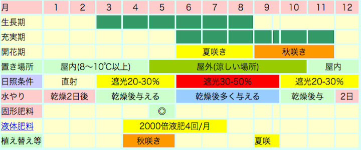 夏咲き・秋咲き種カトレアの栽培カレンダー
