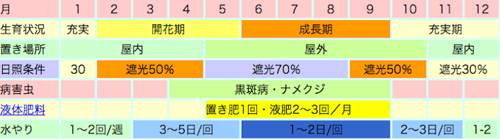 夏咲き・秋咲き種カトレアの栽培カレンダー