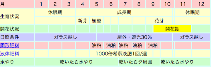 デンファレ(デンドロビウムファレノプシス系)の栽培カレンダー