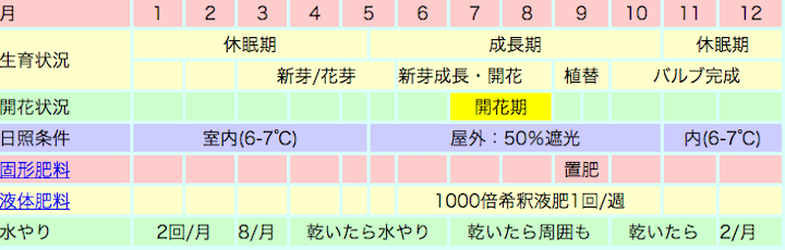 デンドロビウムフォーミディブル系の栽培カレンダー