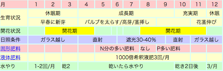 デンドロビュームキンギアナム系の栽培カレンダー