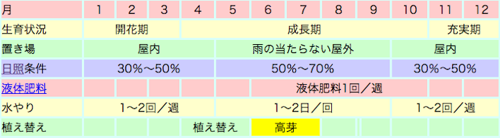 胡蝶蘭の栽培カレンダー