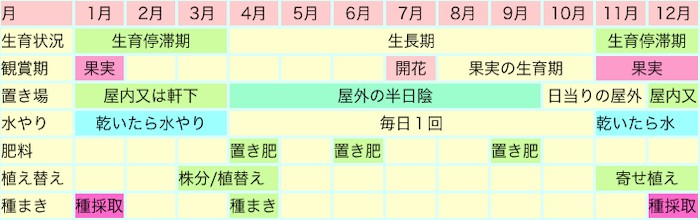 ノボタン鑑賞カレンダー