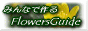 FlowersGuide